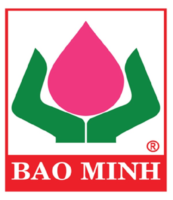 bảo hiểm ô tô bảominh